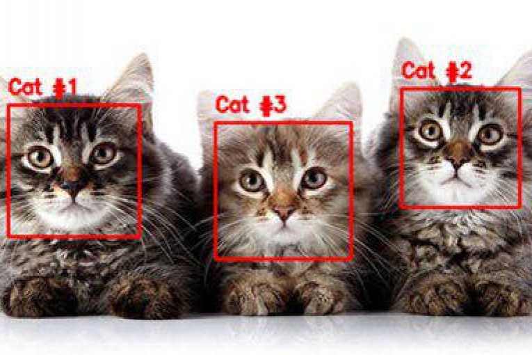 تشخیص پلاک خودروهای های ایرانی توسط کتابخانه OpenCV