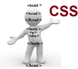 Read more about the article سی اس اس-CSS