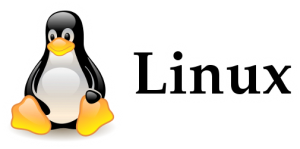 Read more about the article نمایش پورت های باز و نام برنامه در لینوکس